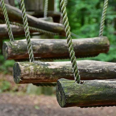 Forest Aventure
